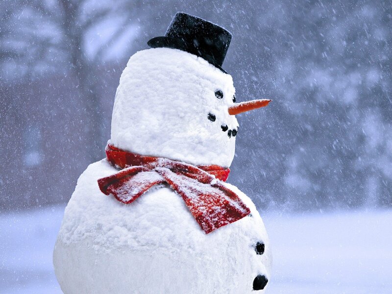 Snowman in Snowstorm — White, Cold