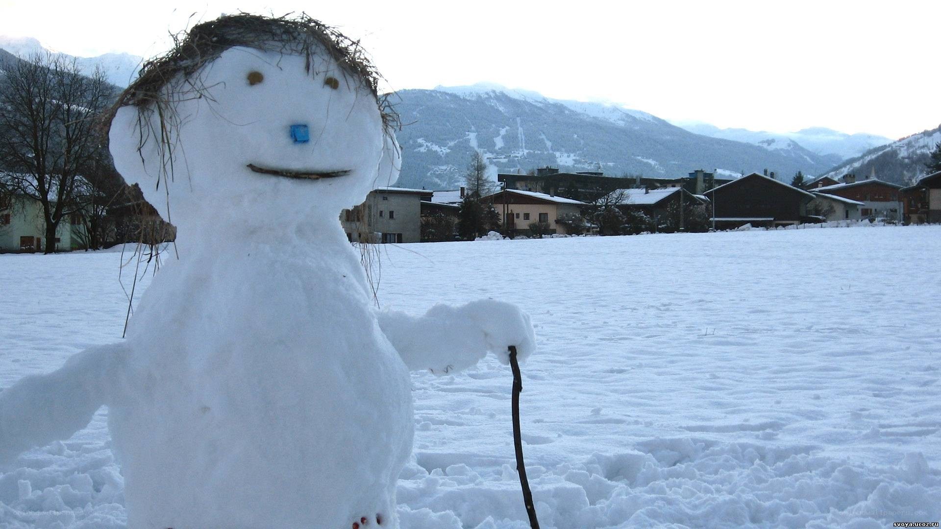 Snowman in snowy field