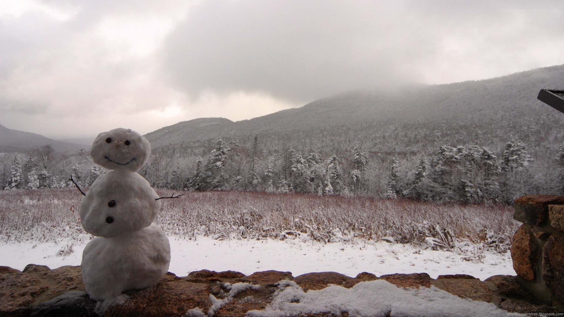 Snowman in snowy landscape