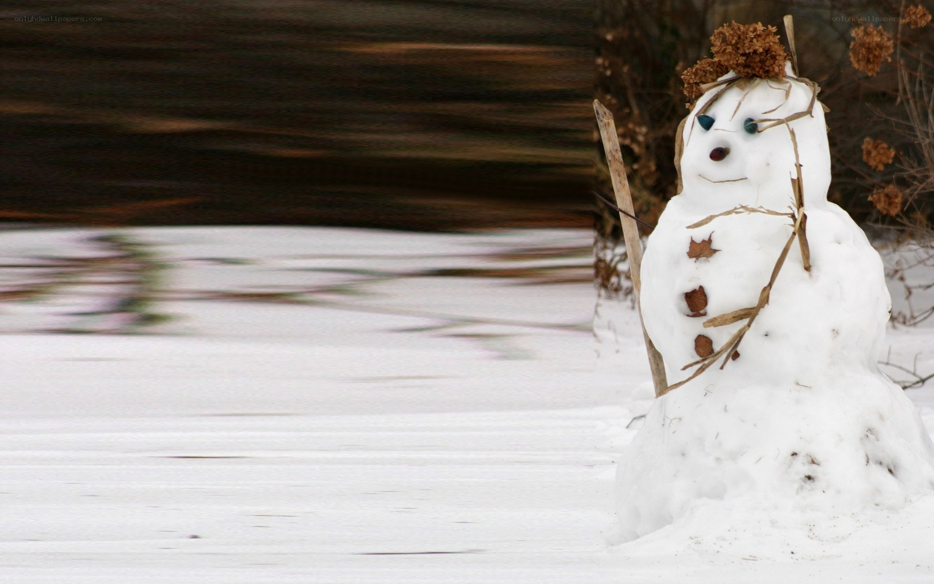 snowman in snowy landscape