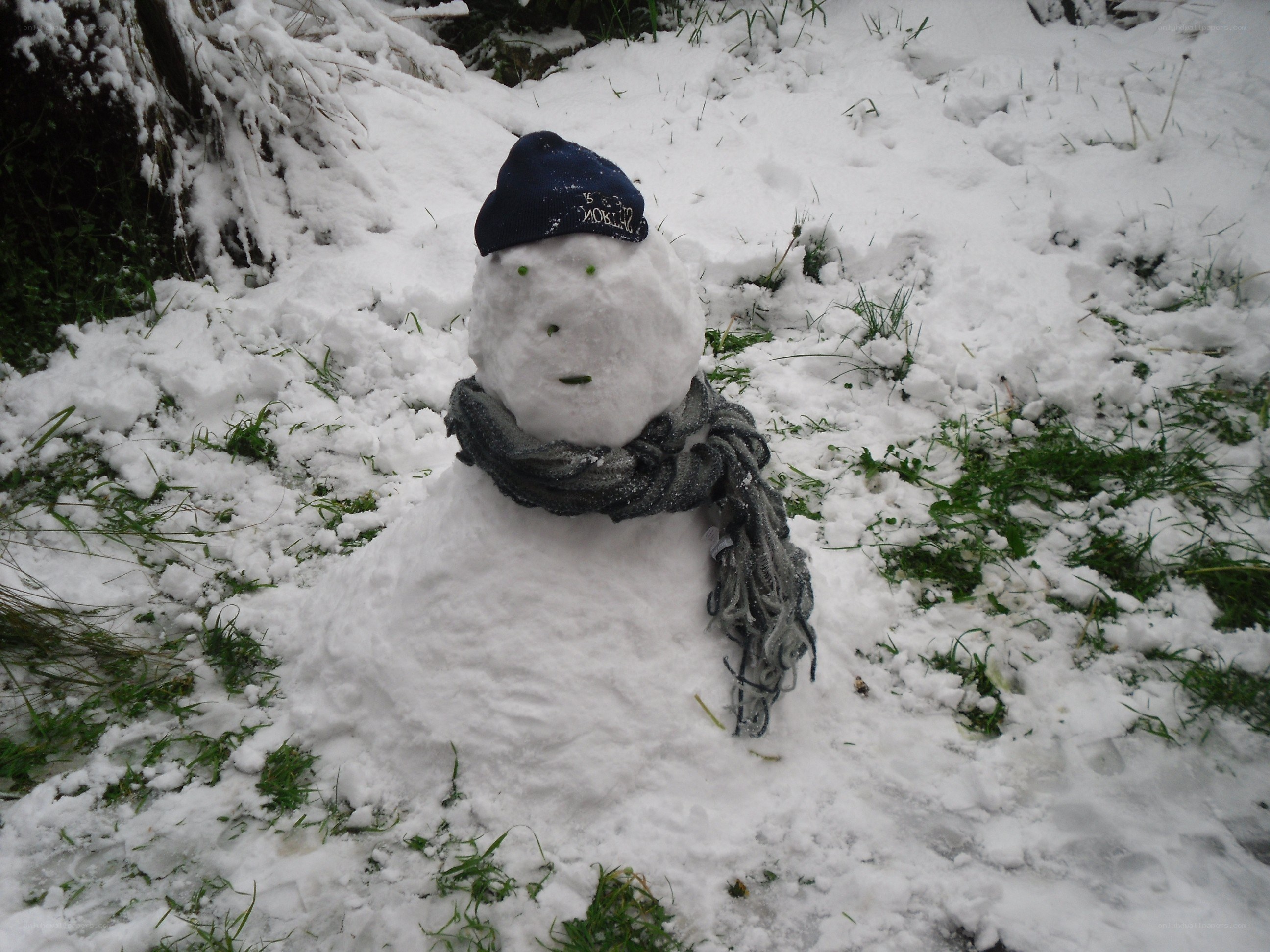Snowman in the snow