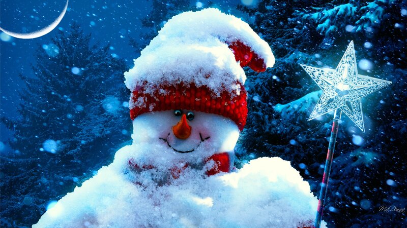 Snowman in Winter — Blue