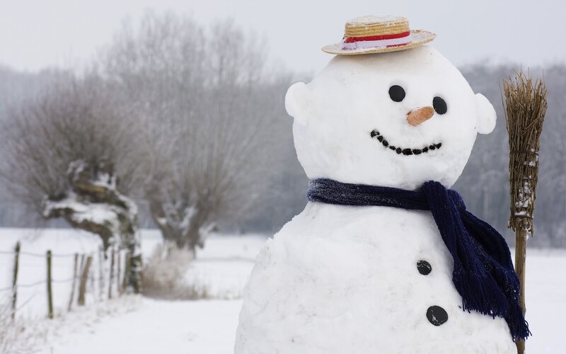Snowman in Winter Field