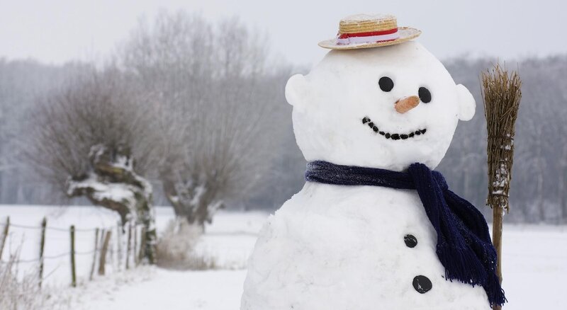 Snowman in Winter Field — White
