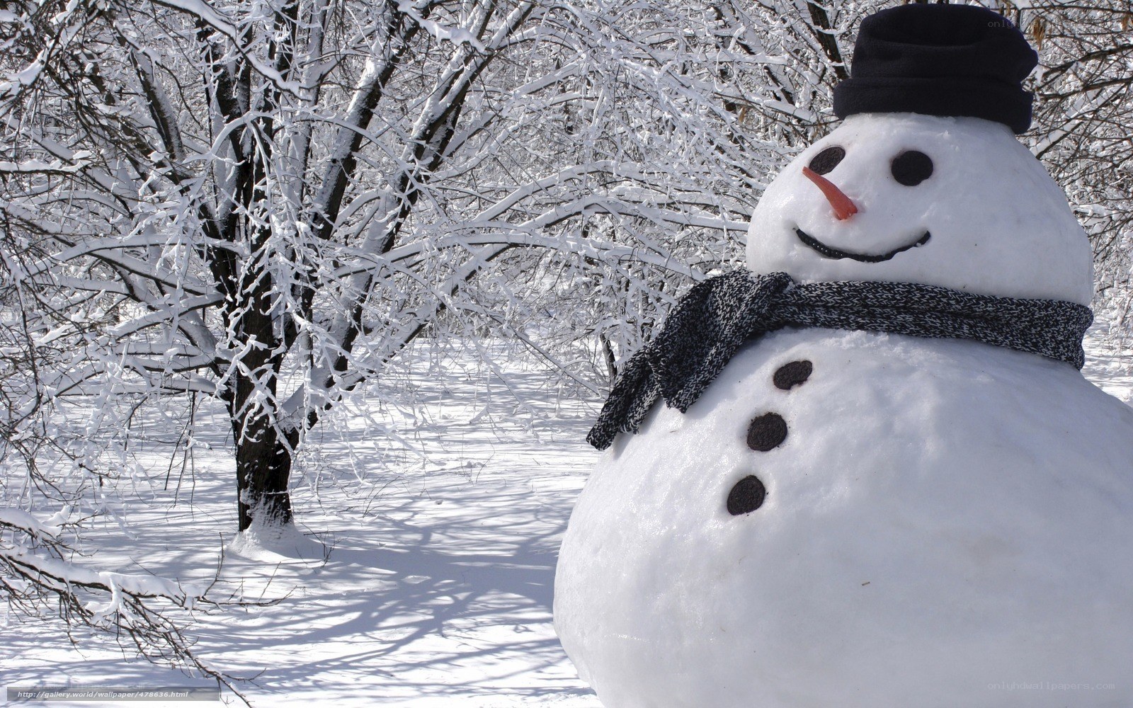 Snowman in winter forest