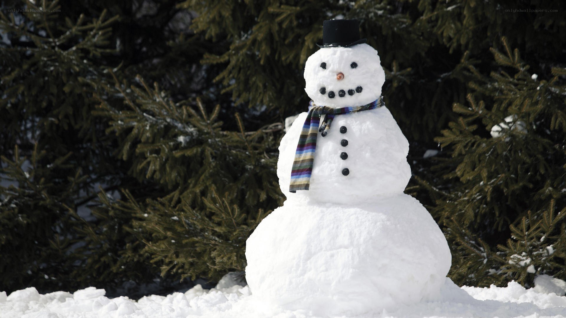 Snowman in winter forest