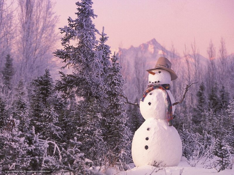 Snowman in winter forest