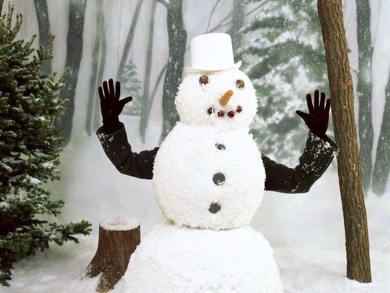 Snowman in Winter Forest — White, Festive, Photograph