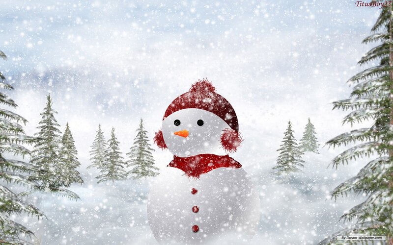 Snowman in Winter Forest — White, Peaceful