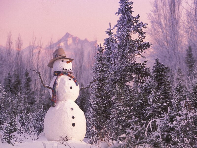 Snowman in Winter Forest — White, Serene, Photograph