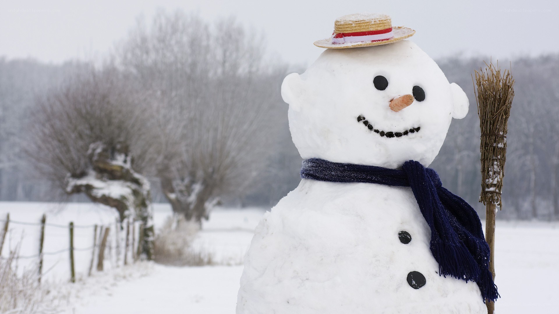 Snowman in winter landscape