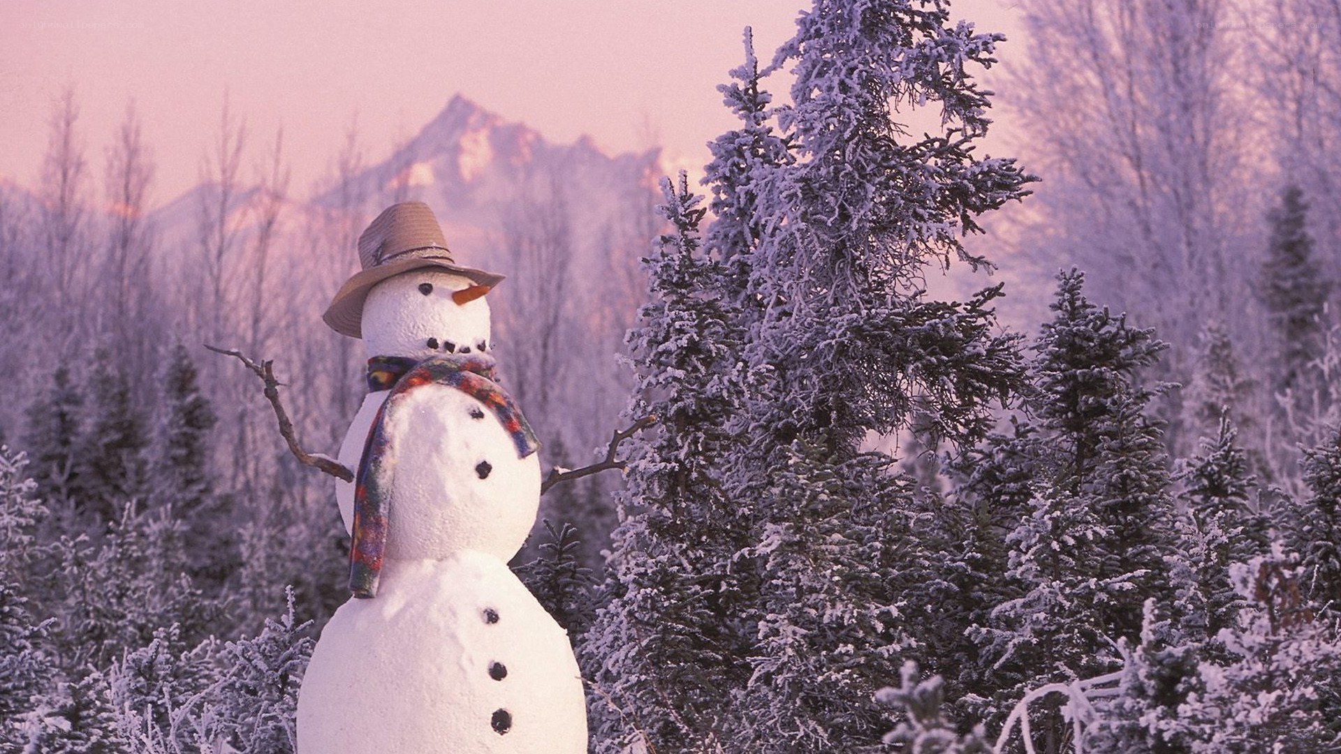 Snowman in winter landscape