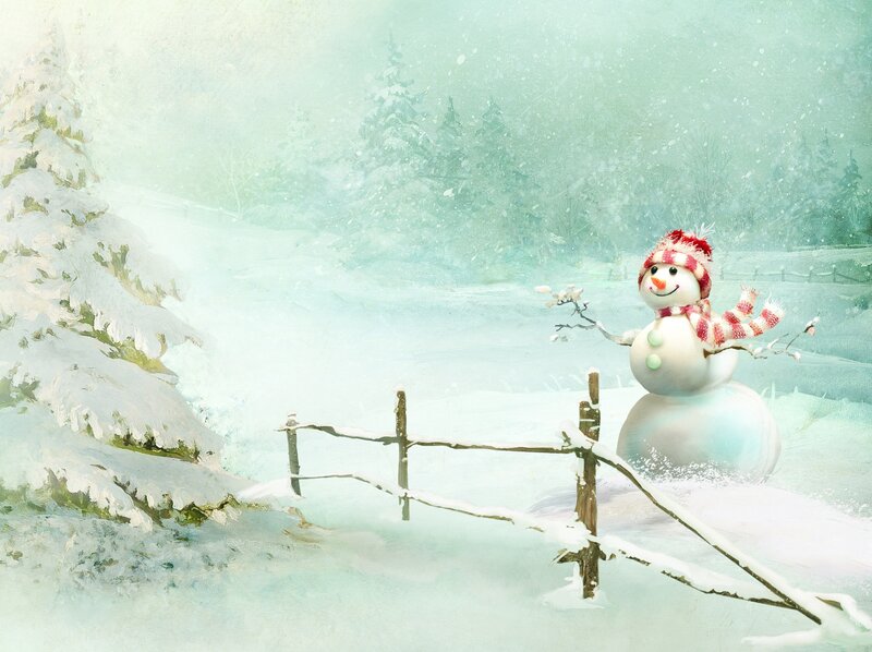 Snowman in winter landscape