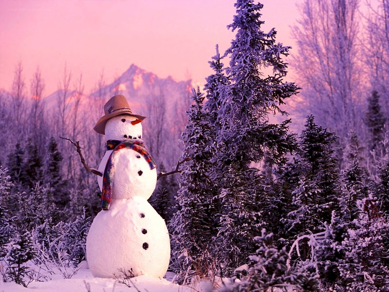 Snowman in winter landscape