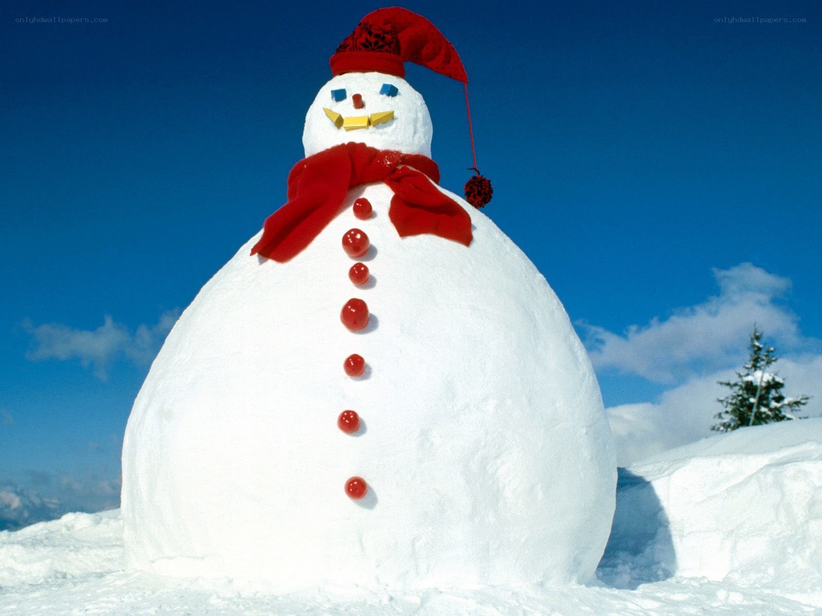 Snowman in winter landscape