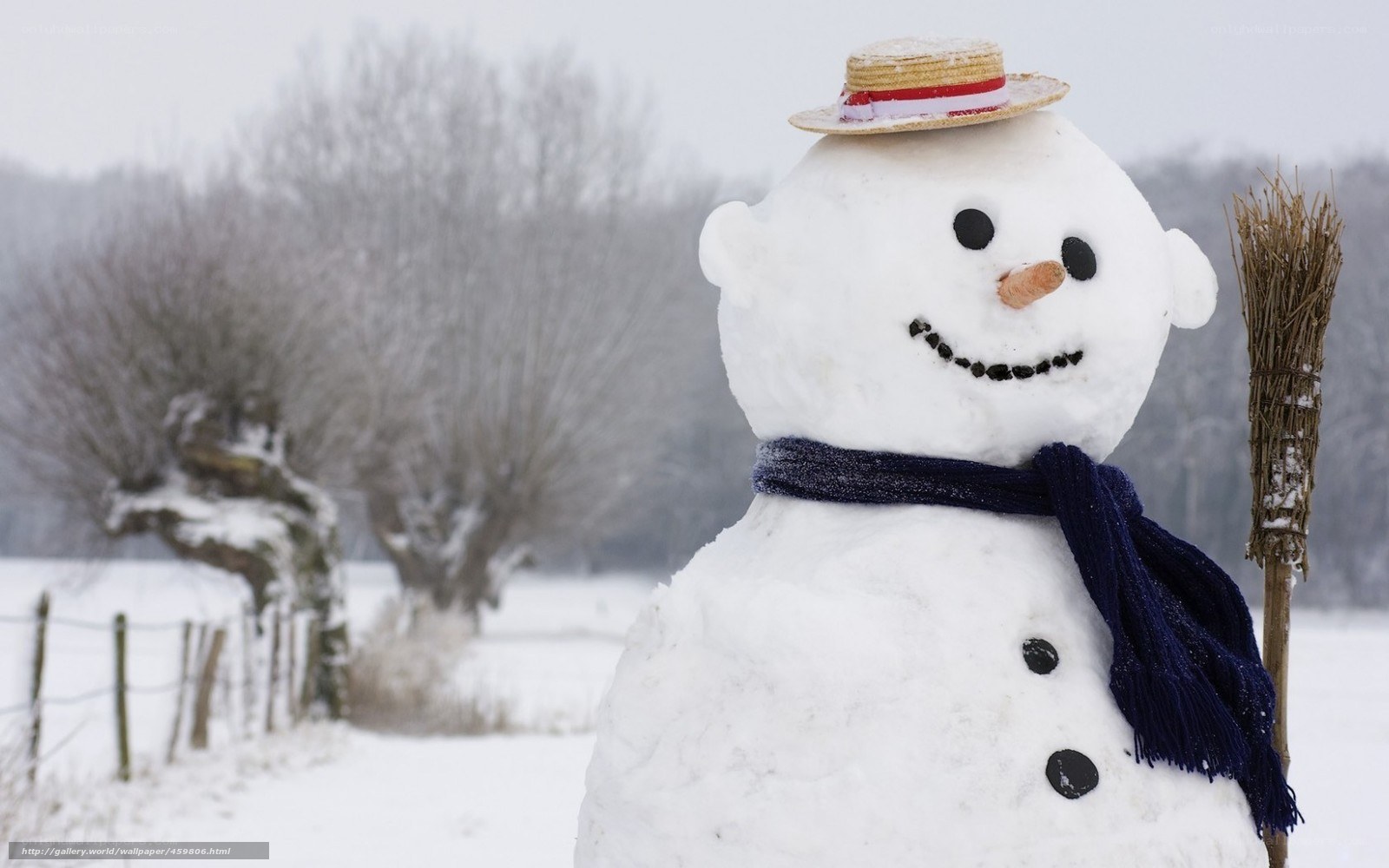 Snowman in winter landscape