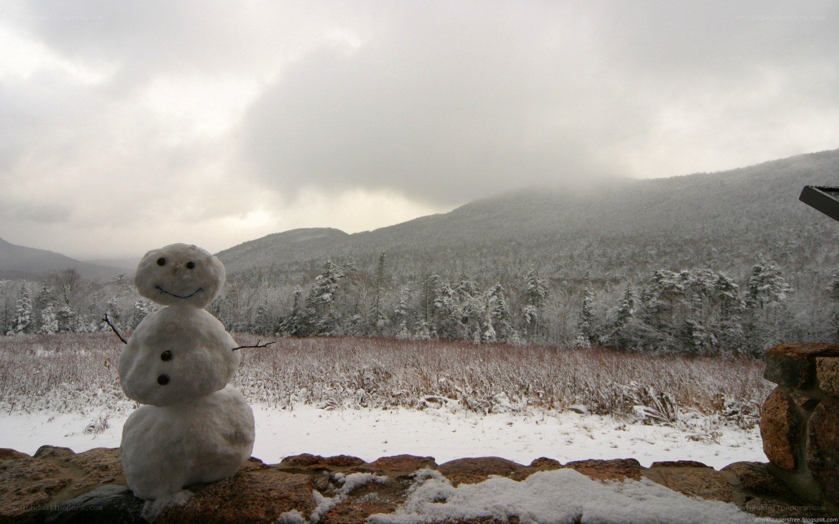 Snowman in winter landscape