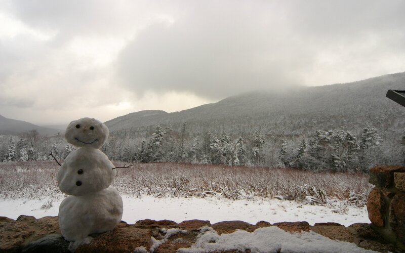 Snowman in winter landscape
