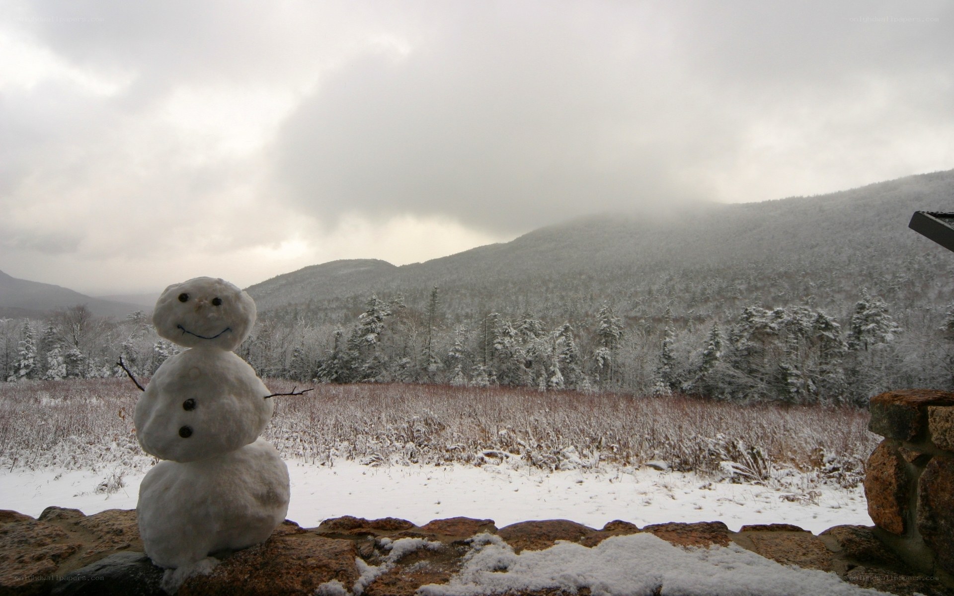 Snowman in winter landscape