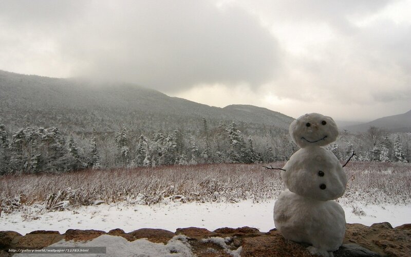 Snowman in winter landscape