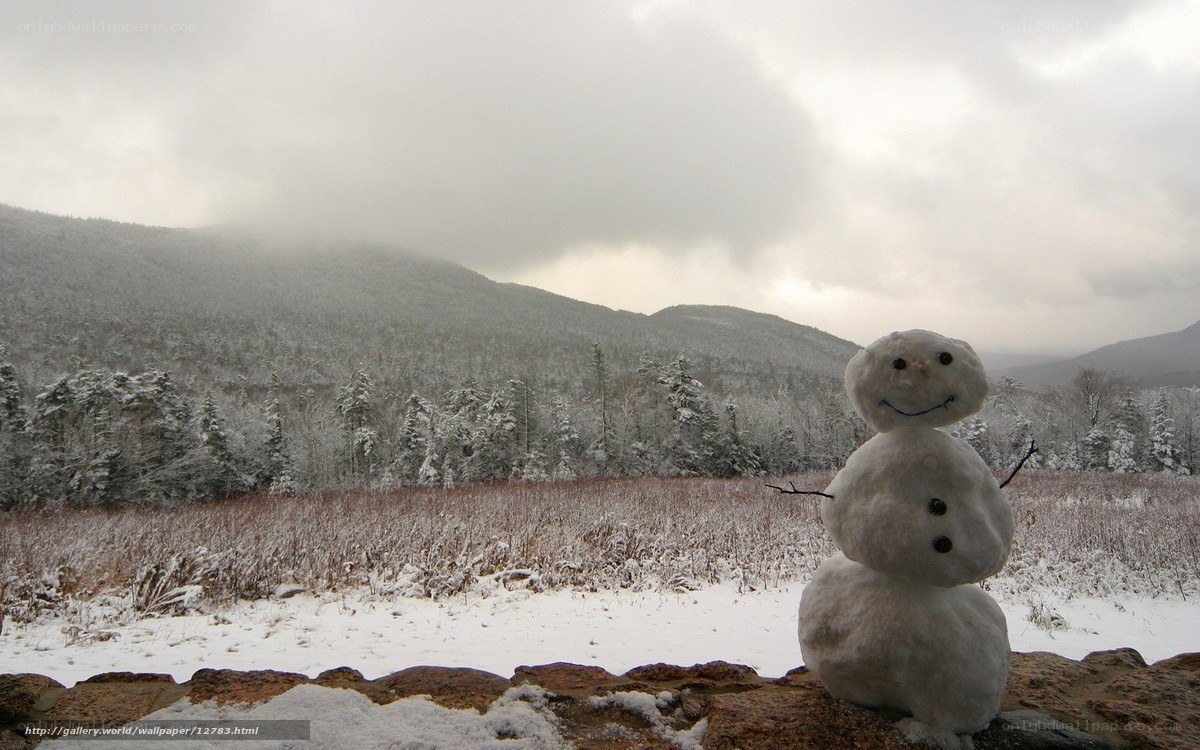 Snowman in winter landscape
