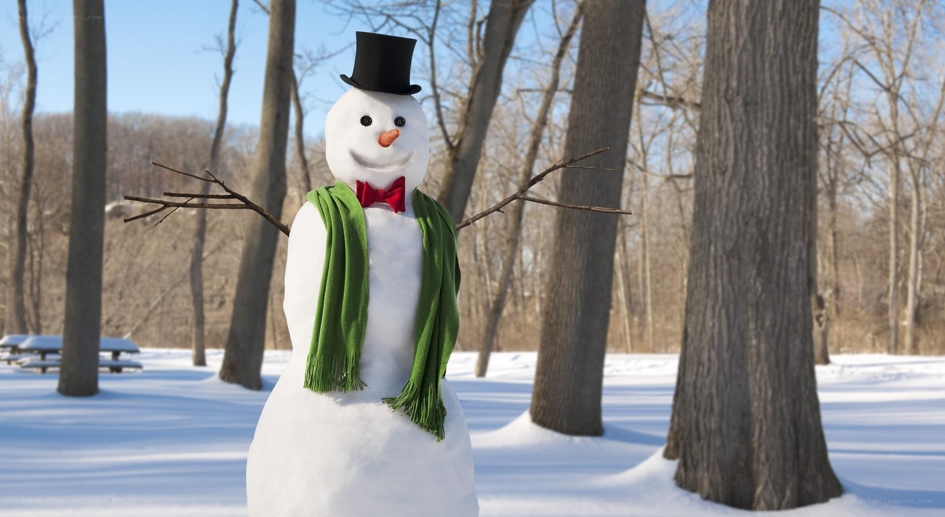 Snowman in winter park
