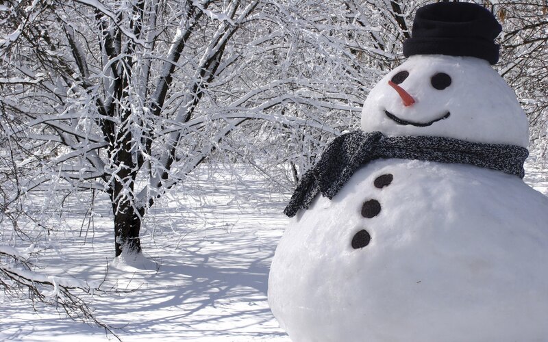 Snowman in Winter — White, Calm, Photograph, Trees