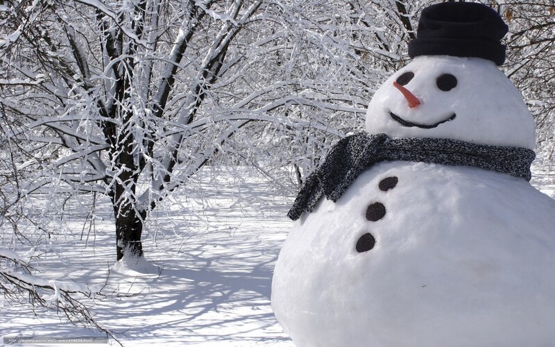 Snowman in Winter — White, Serene