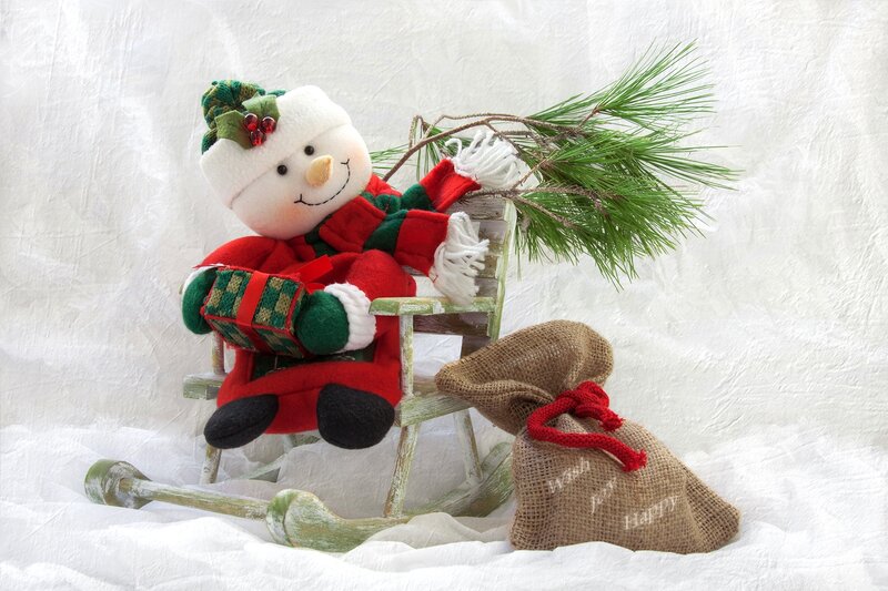 Snowman on a Sled — White, Festive, Winter