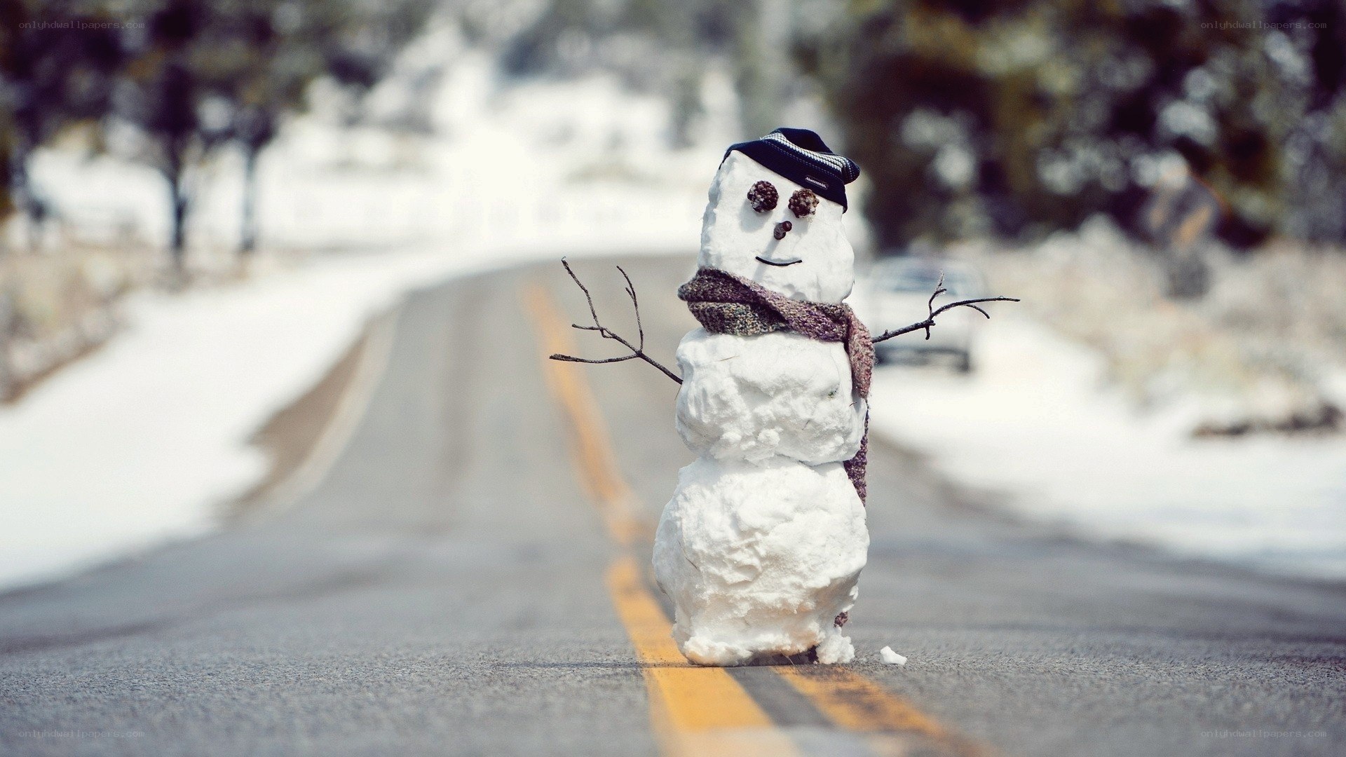 Snowman on a snowy road