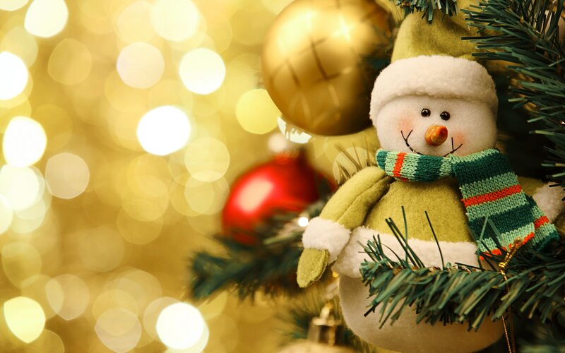Snowman Ornament — Green, Festive, Winter, Photograph, Christmas Tree