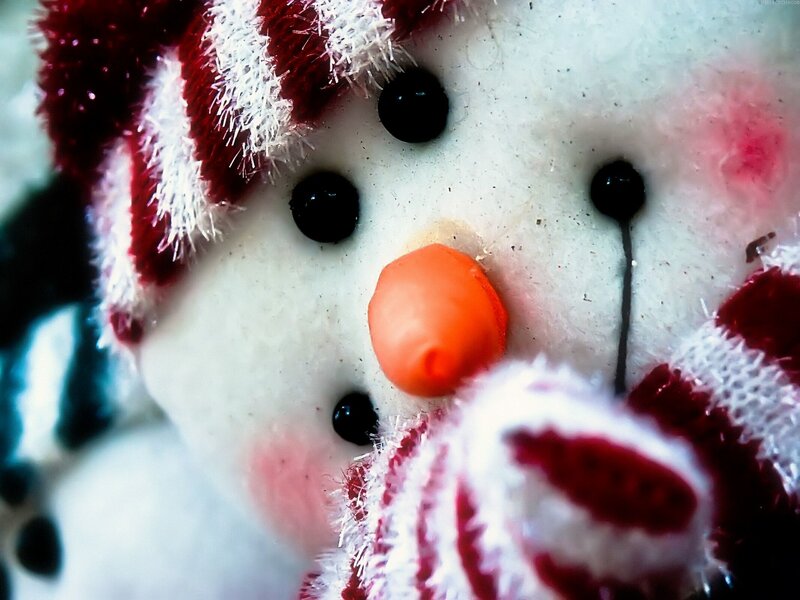Snowman Toy Face