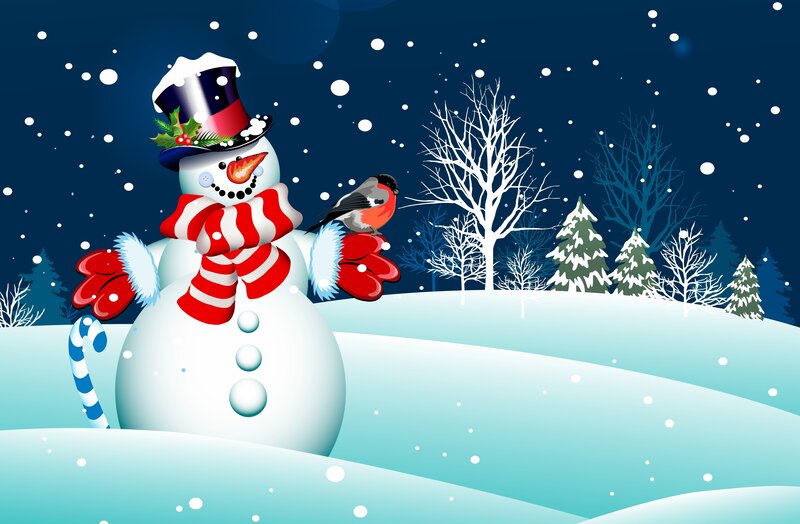 Snowman with Bird — Blue, Festive, Night