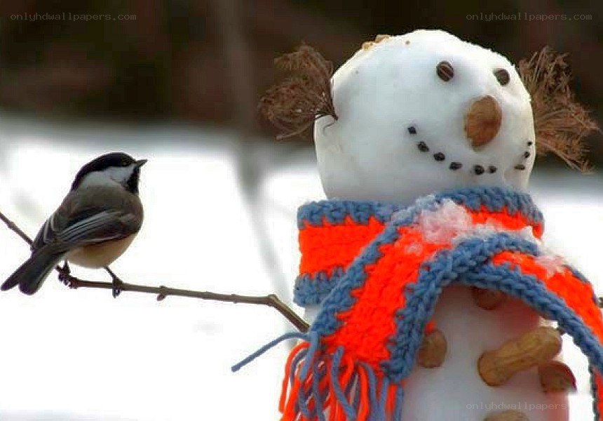 Snowman with bird on branch