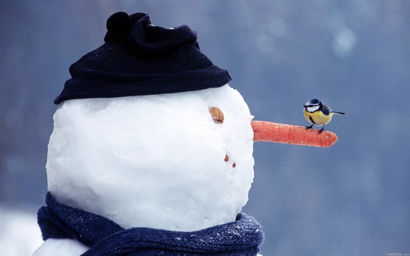 Snowman with bird on carrot nose
