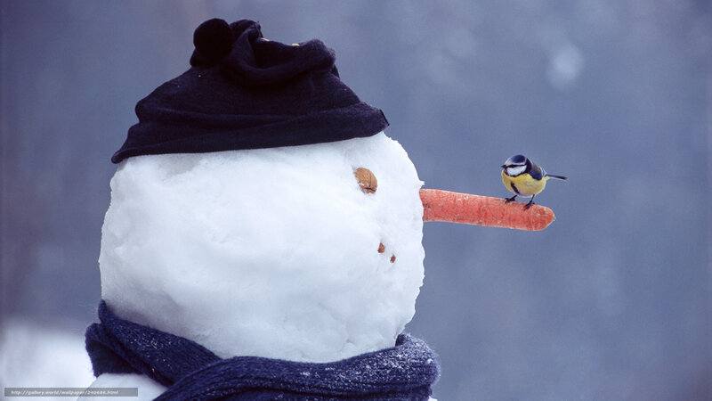 Snowman with bird on carrot nose