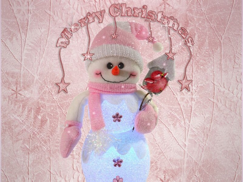 Snowman with Bird — Pink