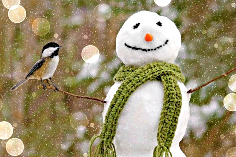 Snowman with Bird — White, Festive, Winter, Photograph