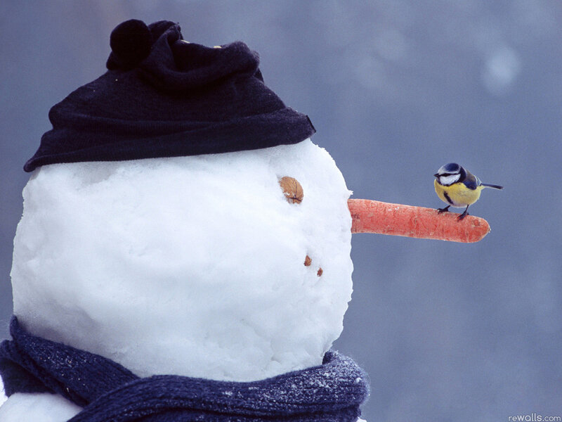 Snowman with Bird — White