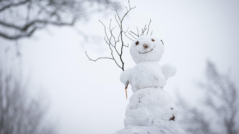 Snowman with Branch Arms