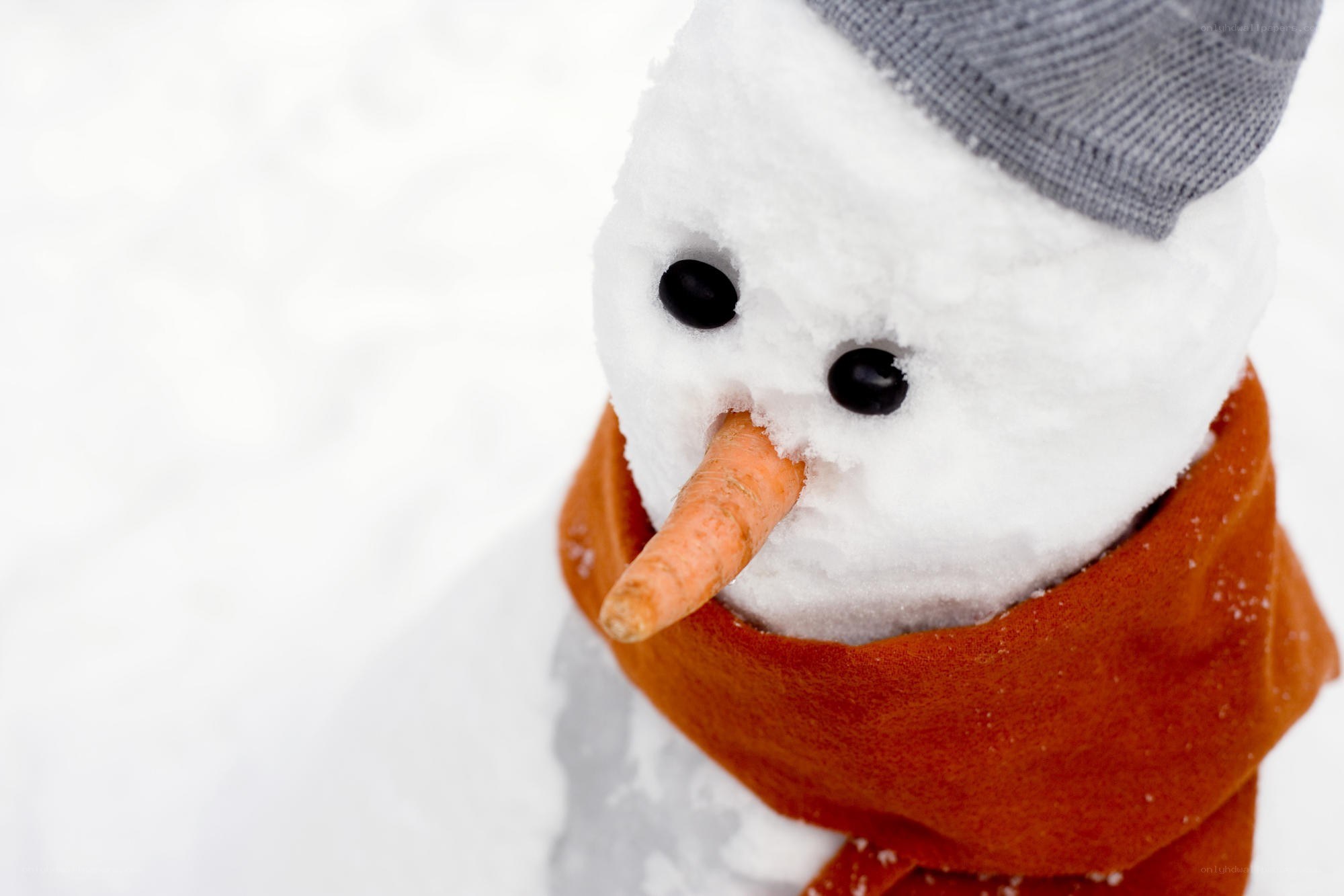 snowman with carrot nose