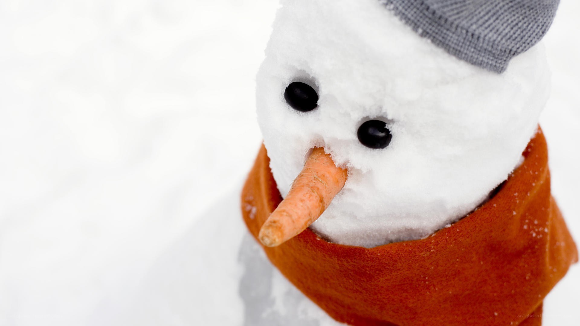 snowman with carrot nose