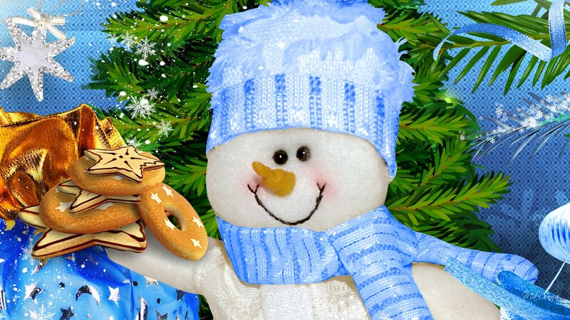 Snowman with Cookies
