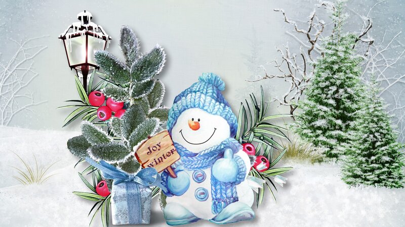 Snowman with Gift Box — White