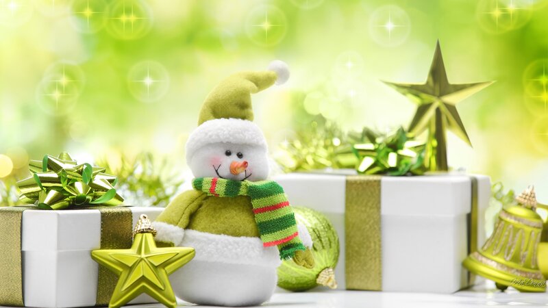 Snowman with Gifts — Green, Festive