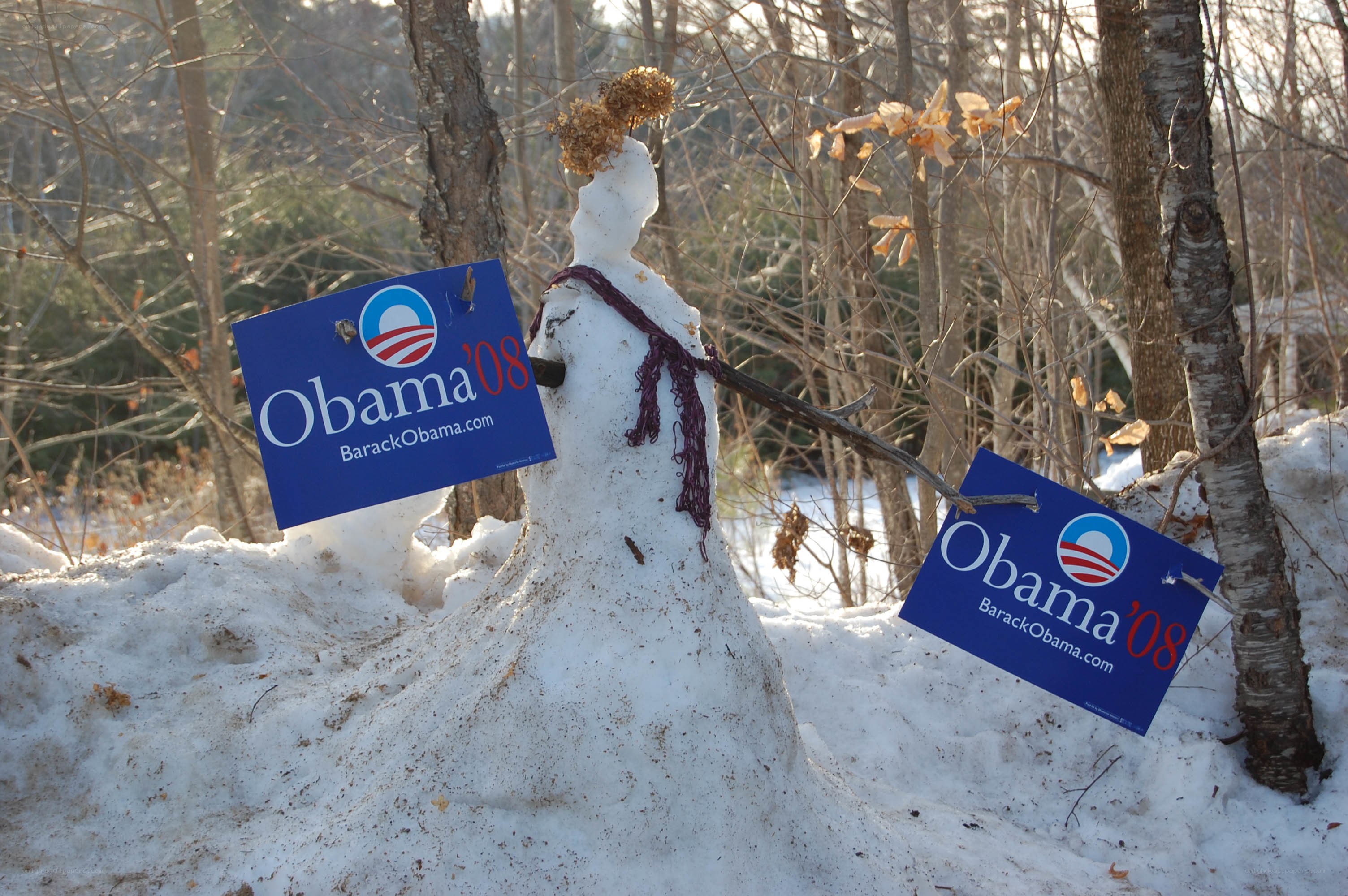 Snowman with Obama signs