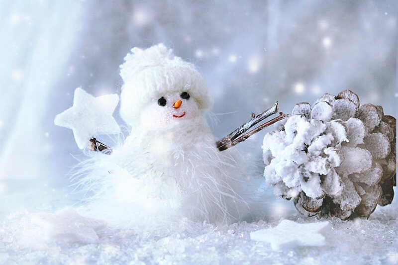 Snowman with Pinecone