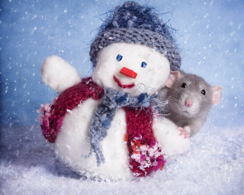 Snowman with Rat