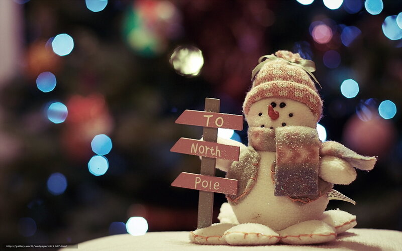 Snowman with sign to North Pole