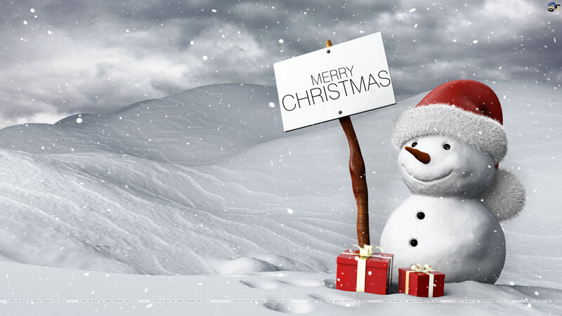 Snowman with Sign — White, Festive